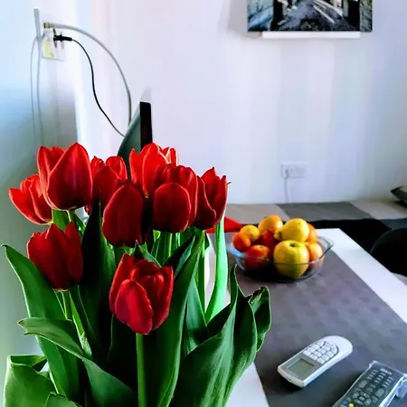 アパート Center Park And