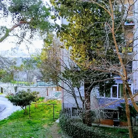Center Park And