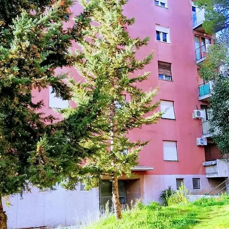 Center Park And