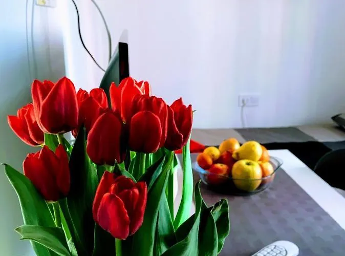 Daire Center Park And