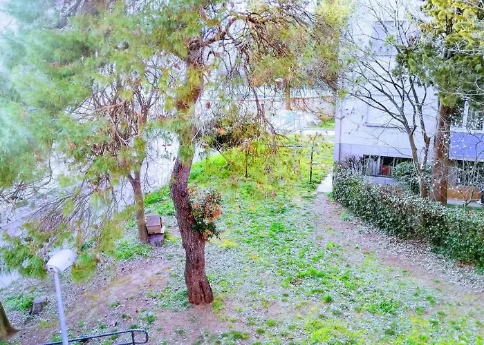 Center Park And Daire Pula