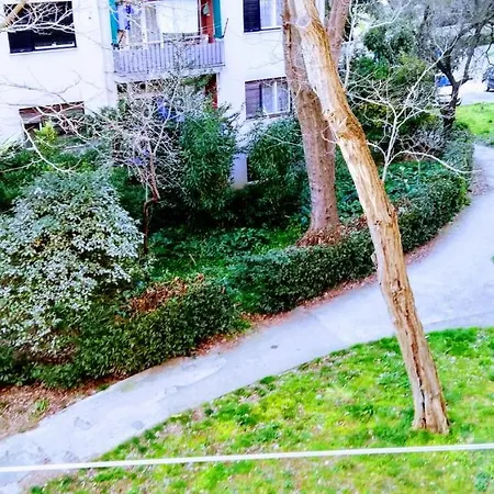 Center Park And