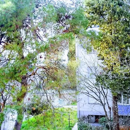 Center Park And Apartment