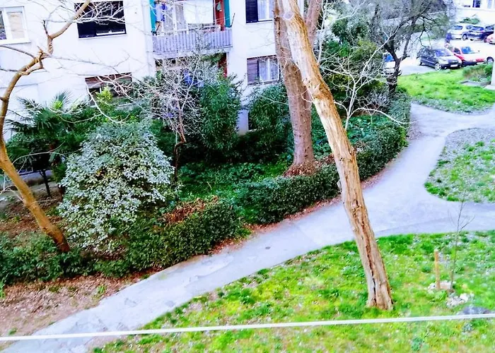 Center Park And