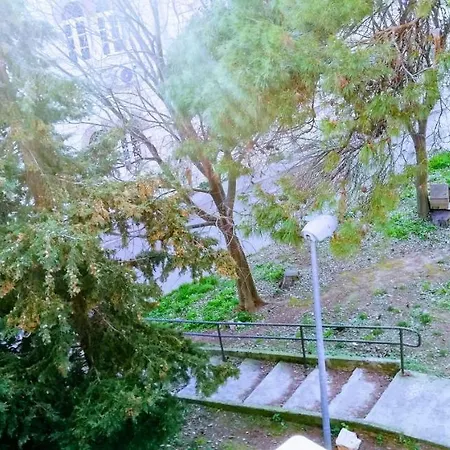 公寓 Center Park And *