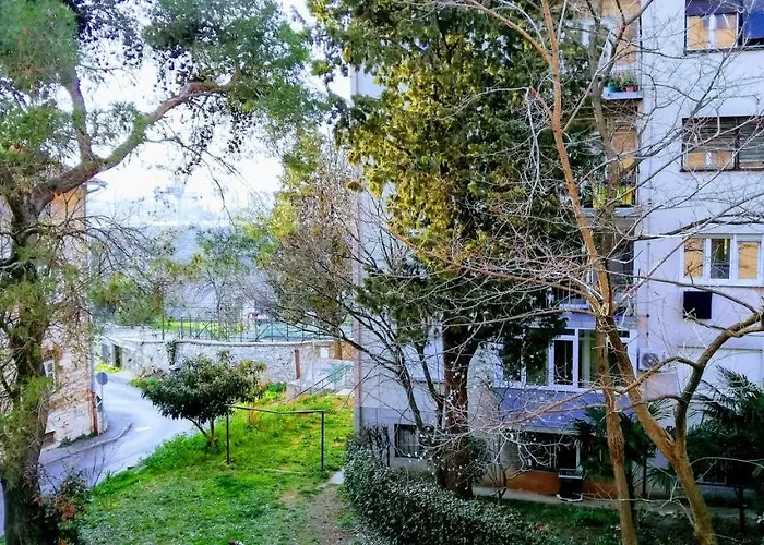 Center Park And